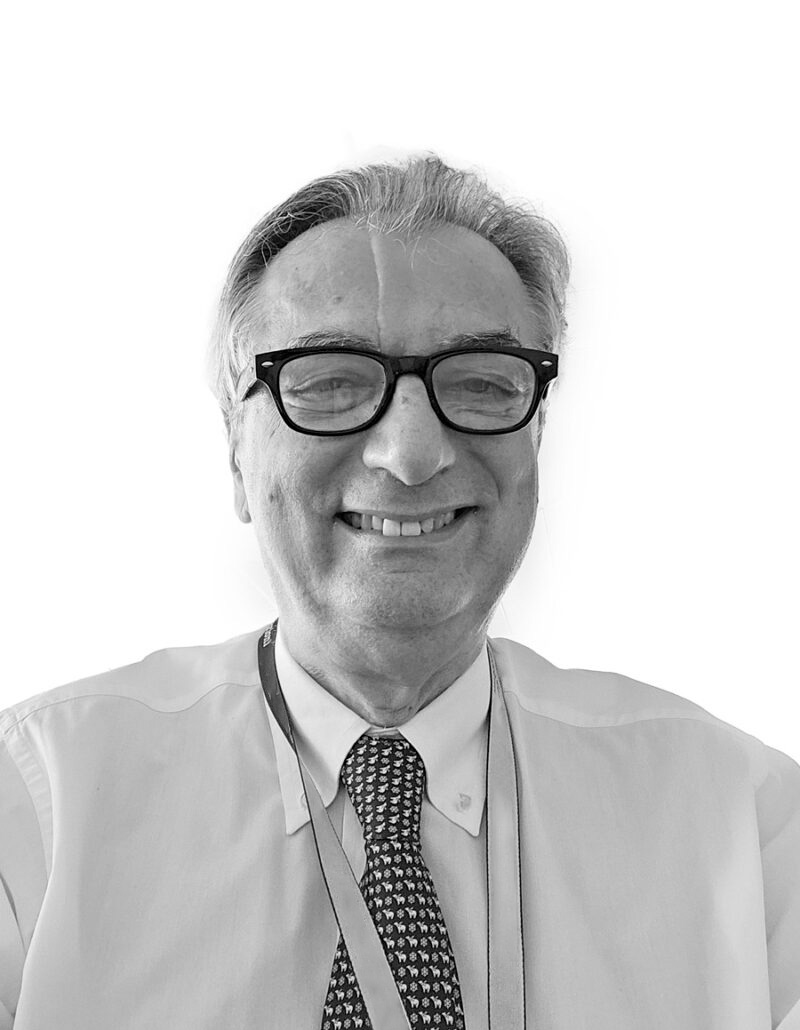 David-Monti-800x1030